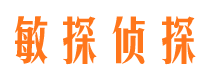 顺庆敏探私家侦探公司